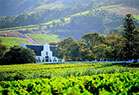 Picture of Stellenbosch